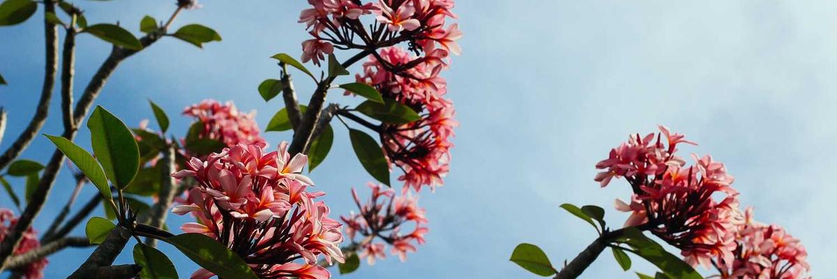 How to Create the Perfect Profile