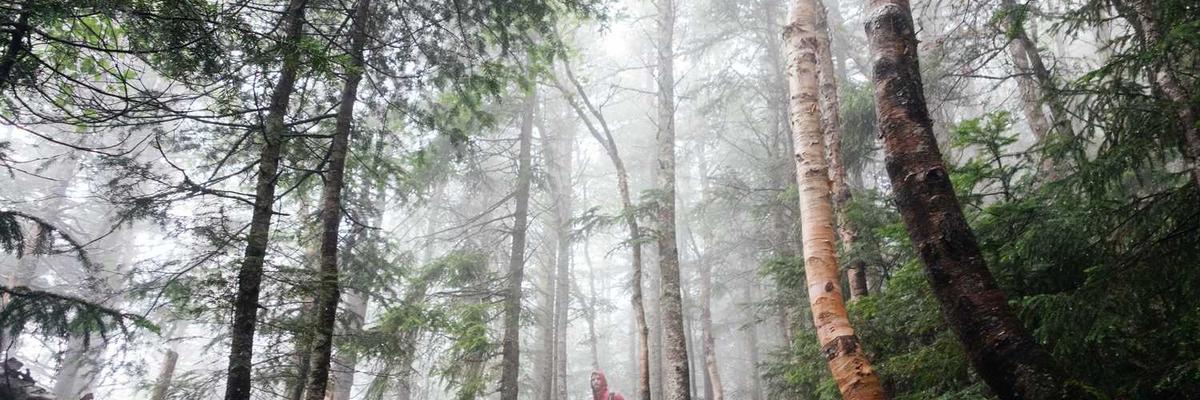 Safety Tips for Our Community