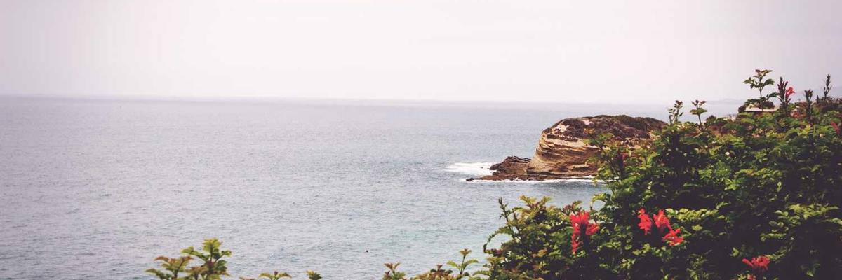 Understanding Our Verification Process